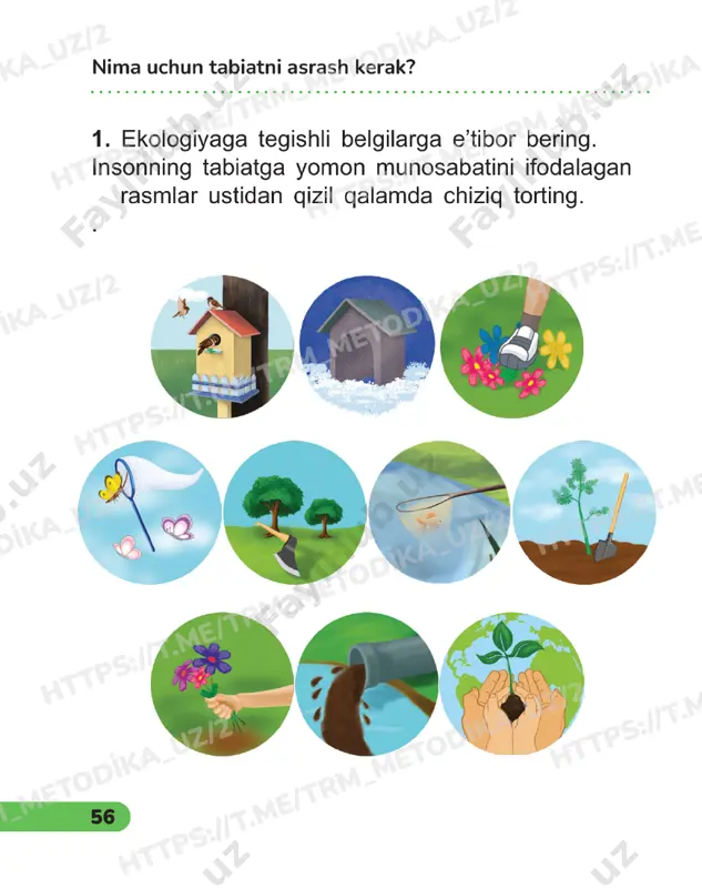 tabiiy fanlar 2sinf daftar ii chorak oxirgi darslar - Page 3