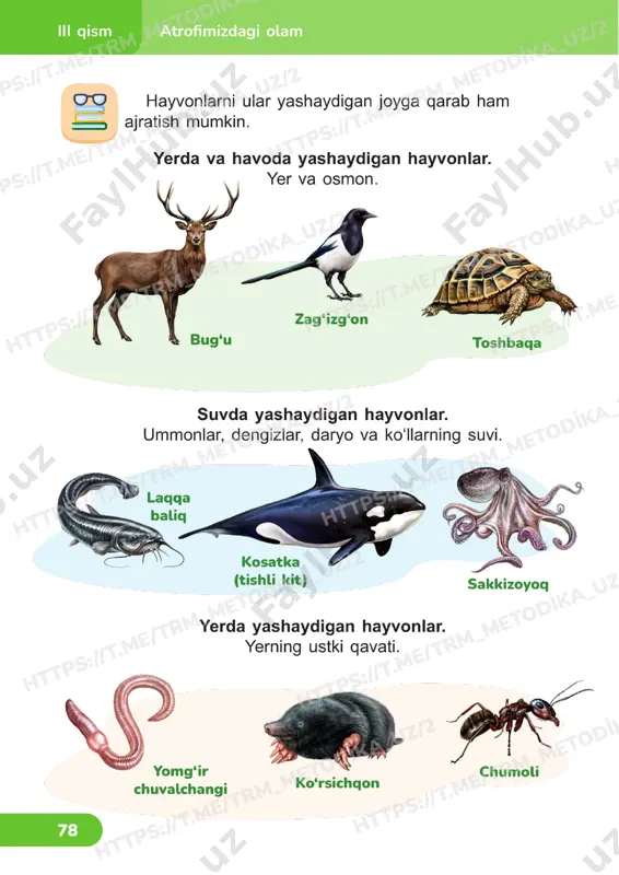 tabiiy fanlar 2sinf darslik 23-24 dars - Page 3