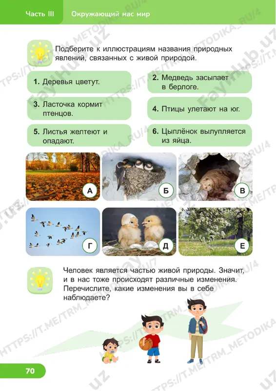 estestvoznanie 2 klass uroki 21_22 - Page 3