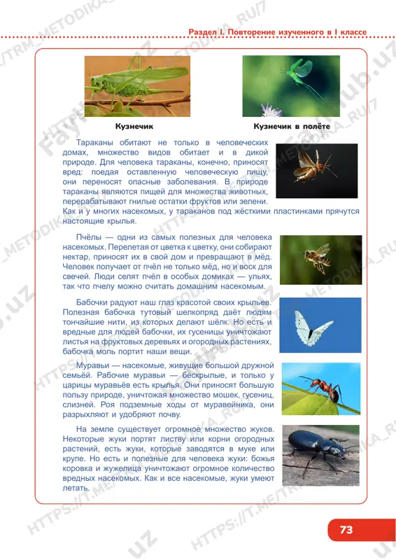 l zadaniya 1: izuchat logicheskie zadachi, svyazannie s diagrammoy eylera-venna, razvivat kommunikativnie naviki, uchit rassujdat, dokazivat, privodit argumenti dlya podtverjdeniya svoego mneniya. 1. v kakuyu chast kruga popadyot kajdoe nasekomoe? est krilya vrednie dlya lyudey poleznie dlya lyudey https://t .me/trm_metodika_ru/7 https://t .me/trm_metodika_ru/7 https://t .me/trm_metodika_ru/7 https://t .me/trm_metodika_ru/7 https://t .me/trm_metodika_ru/7 https://t .me/trm_metodika_ru/7 https://t .me/trm_metodika_ru/7 https://t .me/trm_metodika_ru/7 73 razdel i. povtorenie izuchennogo v i klasse kuznechik kuznechik v polyote tarakani obitayut ne tolko v chelovecheskix domax, mnojestvo vidov obitaet i v dikoy prirode. dlya cheloveka tarakani, konechno, prinosyat vred: poedaya ostavlennuyu chelovecheskuyu pishu, oni perenosyat opasnie zabolevaniya. v prirode tarakani yavlyayutsya pishey dlya mnojestva jivotnix, pererabativayut gnilie ostatki fruktov ili zeleni. kak i u mnogix nasekomix, u tarakanov pod jyostkimi plastinkami pryachutsya nastoyashie krilya. pchyoli — odni iz samix poleznix dlya cheloveka nasekomix. pereletaya ot tsvetka k tsvetku, oni sobirayut nektar, prinosyat ix v svoy dom i prevrashayut v myod. chelovek poluchaet ot …