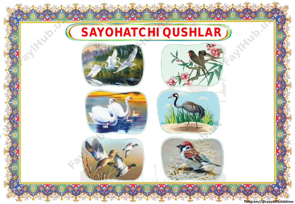 2_sinf_ona_tili_o'qish_savodxonligi_2_chorak_ko'rgazmasi - Page 3