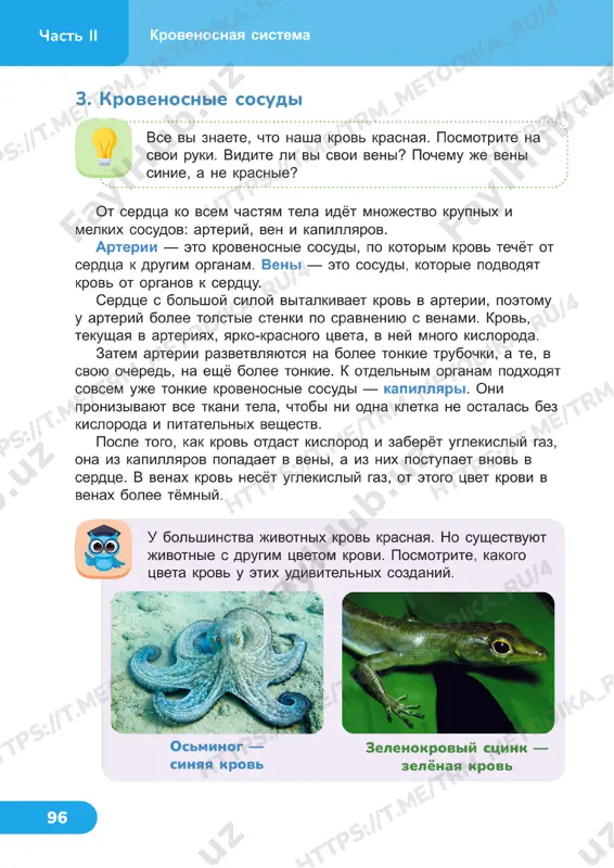 estestvoznanie 4 klass uroki 23_24 - Page 3