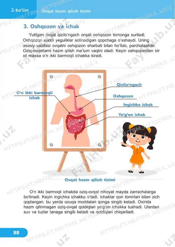 tabiiy fanlar 4 sinf darslik 21-22 dars - Page 3