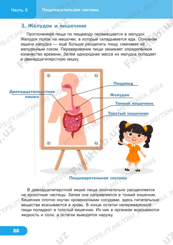 estestvoznanie 4 klass uroki 21_22 - Page 3