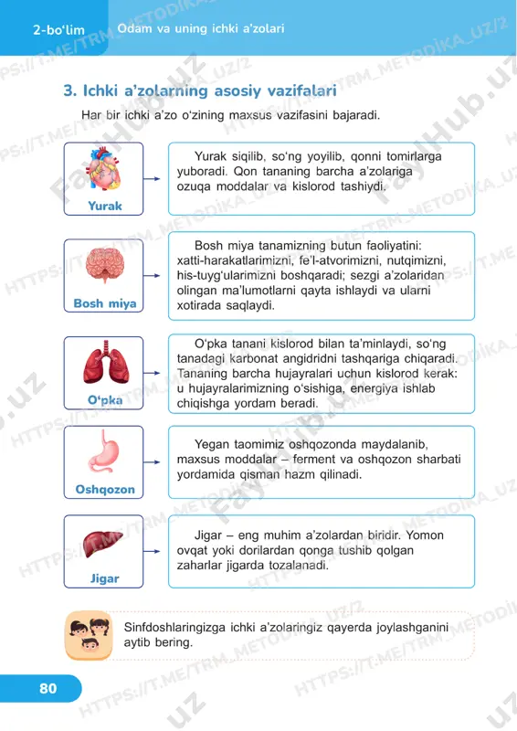 4 sinf tabiiy fan darslik 19-20 dars - Page 3