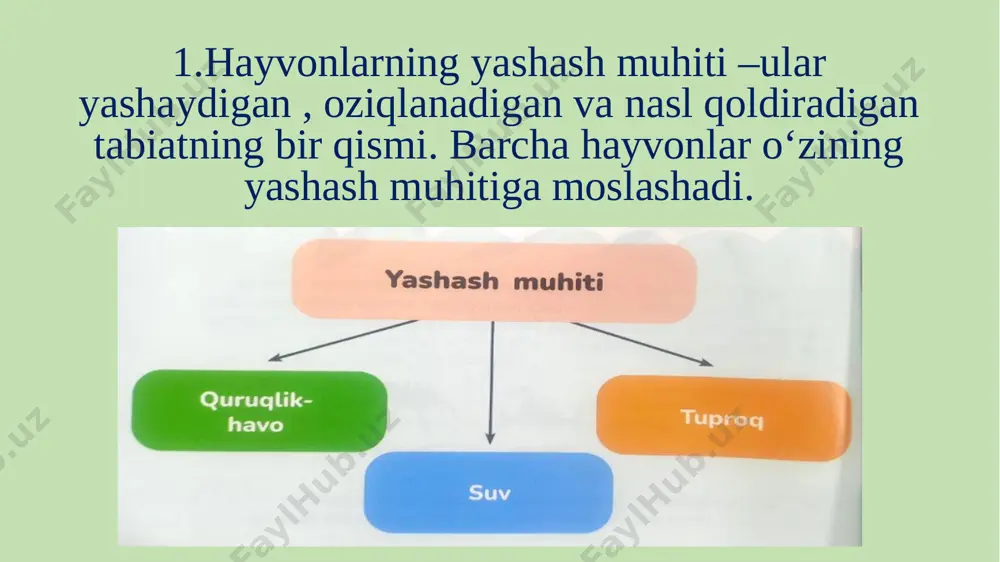 11-dars. hayvonlar yashaydigan muhit. absatova guzal - Page 3