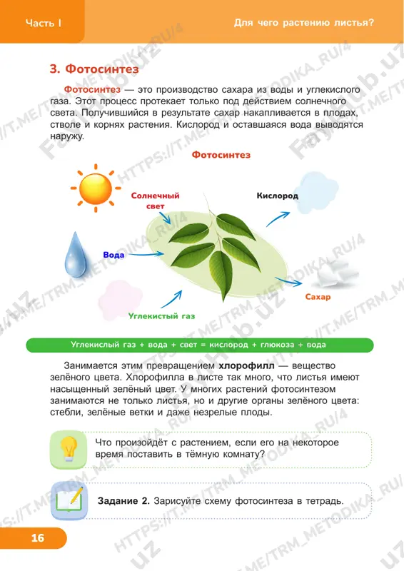 yutsya v jyoltiy tsvet. ego mojno vstretit vo vsex fruktax i ovoshax s jyoltoy myakotyu. krasnimi listya stanovyatsya blagodarya antotsianu. antotsian okrashivaet vinograd v razlichnie ottenki ot rozovogo do tyomno-fioletovogo. eti veshestva poyavlyayutsya v raznix usloviyax. naprimer, dlya xlorofilla nujni teplo i solntse, a dlya karotina i ksantofilla dostatochno tepla i nebolshogo kolichestva sveta. a vot dlya polucheniya antotsiana trebuetsya moroz i mnogo sveta. 1. chto takoe fotosintez? chto poluchaetsya v rezultate? 2. pochemu listya osenyu jelteyut? provedite eksperiment, chtobi dokazat, chto v rasteniyax est krasyashie pigmenti. /t rm _m et od ik a_ ru /4 ht tp s: //t .m e/ tr m_m et od ik a_ ru /4 tr m_m et od ik a_ ru /4 ht tp s: //t .m e/ tr m_m et od ik a_ ru /4 ht tp s: //t .m e/ tr m_m et od ik a_ ru /4 ht tp s: //t …