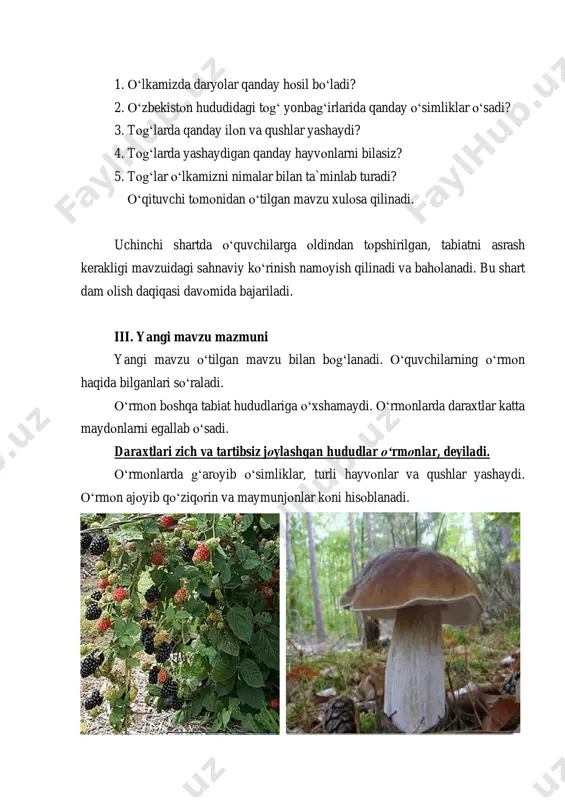 ‘ o‘rmonlari b) to‘qay o‘rmonlari d) cho‘l o‘rmonlari o‘rmon turlari avvaldan tayyorlangan slaydlar yordamida tushuntiriladi. tog‘ o‘rmonlari – tog‘ yonbag‘irlarida bo‘lib, archa, yong‘oq, pista, qayin, terak singari daraxtlarni o‘z ichiga qamrab oladi. tog‘ o‘rmonlari yurtimiz hududining kattagina maydonlarini egallaydi. o‘rmonlar tog‘ o‘rmonlar to‘qay o`rmonlar cho`l o‘rmonlari to‘qay o‘rmonlari - daryo sohillarida joylashgan. o‘rmonda jiyda, turang‘il, shumtol kabi daraxtlar o‘sadi. sirdaryo va amudaryo sohillarida hamda daryo o‘rtasida hosil bo‘lgan orollarda to‘qayzorlarni uchratish mumkin. cho‘l o‘rmonlari - qizilqum cho‘llarida joylashgan. ularda asosan saksovul o‘sadi. yovvoyi hayvonlar va qushlar o‘rmonlarda ko‘proq uchraydi. ularda asrlon, yo‘lbars, ayiq, bo‘ri, tulki, maymun, quyon kabi hayvonlar yashaydi. 1-rasmdagi hayvon:yo‘lbars, 2-rasmdagi hayvon: ayiq o‘rmonlarning ahamiyati katta. ular havoni kislorod bilan boyitadi, o‘rmonda o‘sadigan daraxtlardan qurilish va uy-ro‘zg‘or buyumlari, mebellar uchun yog‘och, taxtalar olinadi. agar o‘rmonlar nobud qilinsa va ularning maydonlari kamaysa, tabiatga katta zarar yetkaziladi. o‘zbekiston respublikasi konstitutsiyasining 55-moddasida «o‘rmonlar davlat mulki, umummilliy boylik bo‘lib, ulardan oqilona foydalanish …