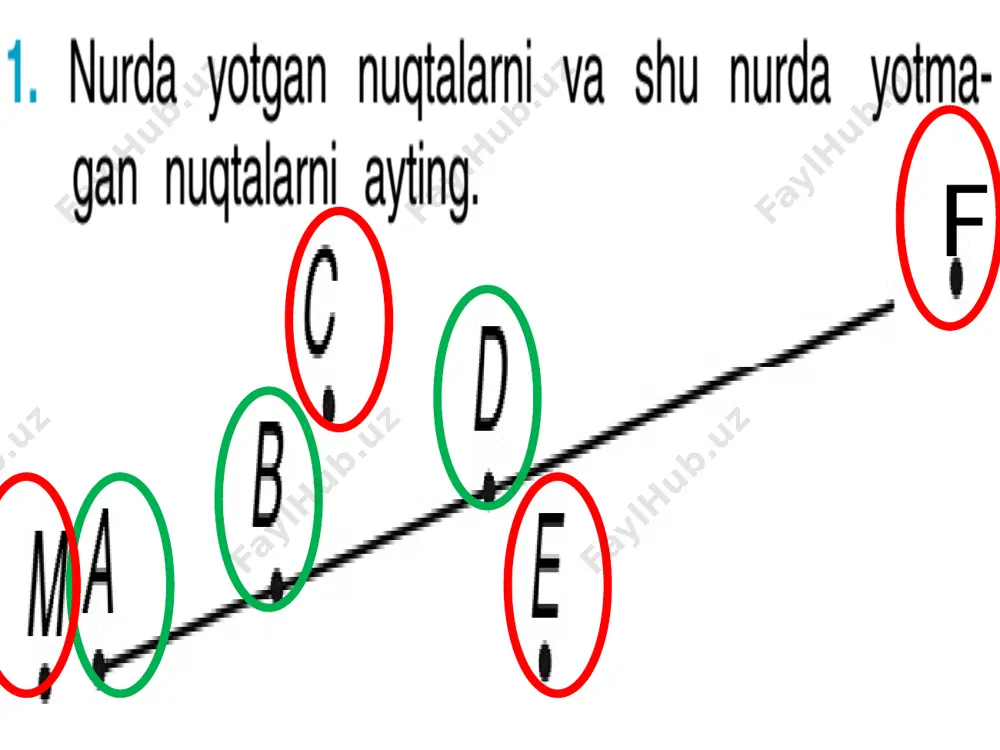 4-sinf nuqta kordinatasi - Page 3