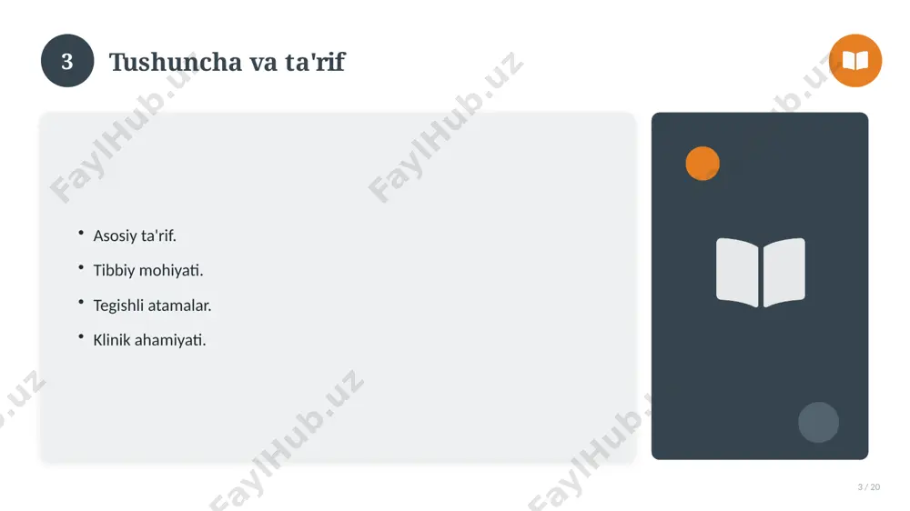 0419_v1_konstitutsiya_asosiy_qonun - Page 3