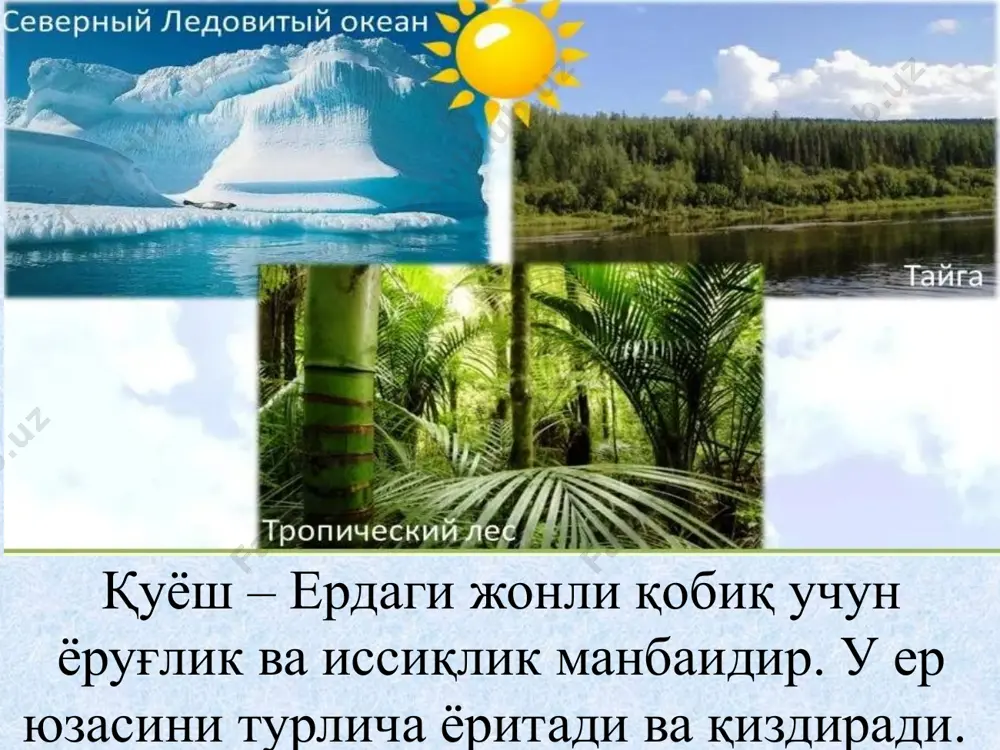 и. кескин паст ҳароратлар таъсирида ўсимликларнинг баъзи бир аъзолари ёки яхлит ўзи (дарахтлар) қуриб қолиши мумкин. бундай ҳолат тўқималарнинг механик парчаланиши ва музлаши оқибатида содир бўлади. агарда ўсимликлар ўзида шакар ва мой моддаларини етарли равишда тайёрлаб олган бўлса, вегетация ўз вақтида тамомланса, юқоридаги «совуқ уриш» ҳодисалари рўй бермайди. баҳорги, кечки ва кузги бевақт совуқларнинг таъсири. совуқ уришнинг уч хил тури бор: радиацион, яъни иссиқликнинг тиниқ ва тинч кечаларда ҳавонинг ерга яқин қисмида нурланиши. «адвектив» яъни, совуқ ҳаво массаларининг бошқа минтақалардан келиши. адвектив радиацион – аралашган тур. радиацион совуқ уришлар тўсатдан ва қисқа муддатда юз бериб, уларнинг пайдо бўлиши кўпинча харакат қатламининг, яъни ўсимлик қоплами ва рельеф тавсифига боғлиқ. адвектив совуқ урушлар об-ҳавонинг умумий йўналиши билан содир бўлади. улар узоқ вақт давом этиб, ҳаракат қатламига унчалик боғлиқ эмас. адвектив – радиацион ёки аралаш совуқ уришлар қуруқ ҳаво тўлқинларининг кириб келиши натижасида вужудга келади. бу тўлқинлар баъзи пайтларда ижобий ҳароратли бўлиши ҳам …