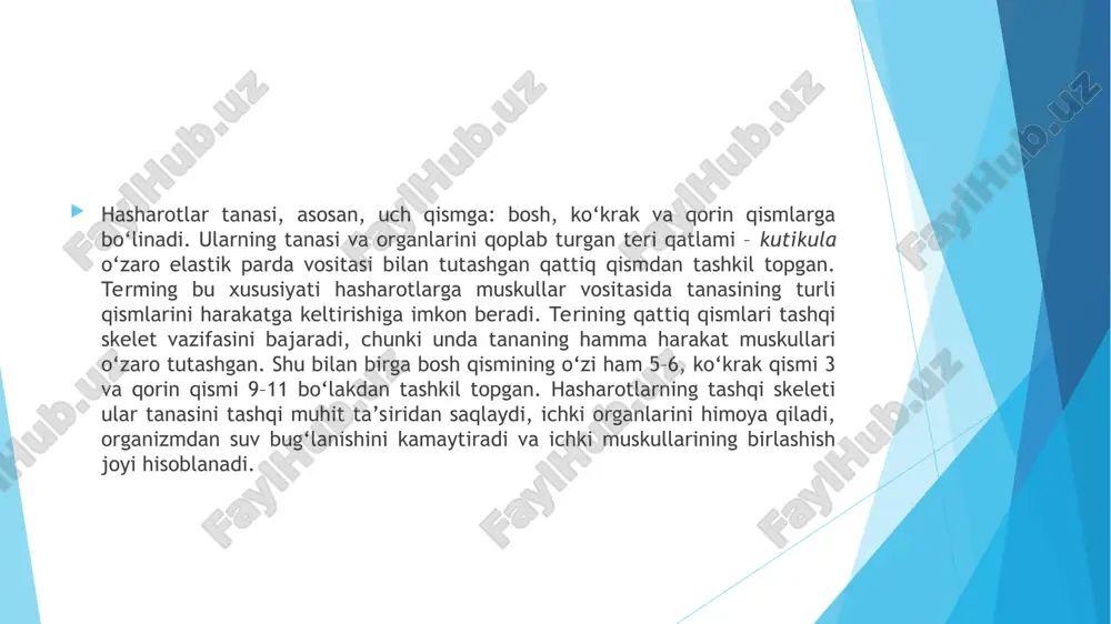 o‘ladi, bu qilchali mo‘ylov; bunday mo‘ylovning uchta bo‘g‘imidan bittasida oddiy yoki shoxlangan qilchasi bo‘ladi hasharotlar mo'ylovi xillari. 1- qilsimon, 2- ipsimon, 3, 4 - arrasimon, 5 - taroqsimon, 6 - to'g'nog'ichsimon, 7- cho'qmorsimon, 8- duksimon, 9- plasfinka-to'g'nog'ichsimon, 10-taroq tizzasimon, 11 - noto'g'ri, 12 - patsimon, 13 -qildor. hasharotlarning ko‘krak qismi hasharotlarning boshidan keyingi qismi ko‘krak bo‘lib, u uch bo‘g‘imdan: oldingi ko‘krak, o‘rta ko‘krak va orqa ko‘krakdan iborat. hasharotlarning oldingi, o‘rta, orqa ko‘krak qismlari birbiriga harakatchan birikkan bo‘lib, ayrimlarida bu qismlar jips birikib ketgan bo‘ladi. ko‘krakning uchta segmentining har biri xitinlashgan ayrim qismlardan – skleritlardan iborat. segmentlarning yuqori qismi yoki ustki tomoni, yelka ostki tomoni yoki ko‘kragi yon tomonidagi skleritlar – biqincha yoki pleyritlar deb ataladi. hasharotlarning har bir ko‘krak bo‘g‘imlarida bir juftdan oyog‘i bo‘ladi. qanotli hasharotlarning o‘rta va orqa bo‘g‘imlarida juft qanotlar bo‘ladi. shuning uchun o‘rta va orqa bo‘g‘imlari birgalikda pterotoraks degan nom bilan ifodalanadi. ayrim hasharotlarda oldingi ko‘krak bo‘g‘imi …