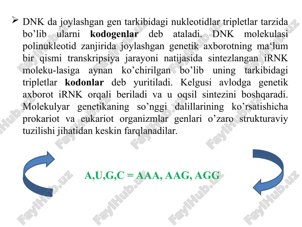 genlar va ularning xususiyatlari - Page 4