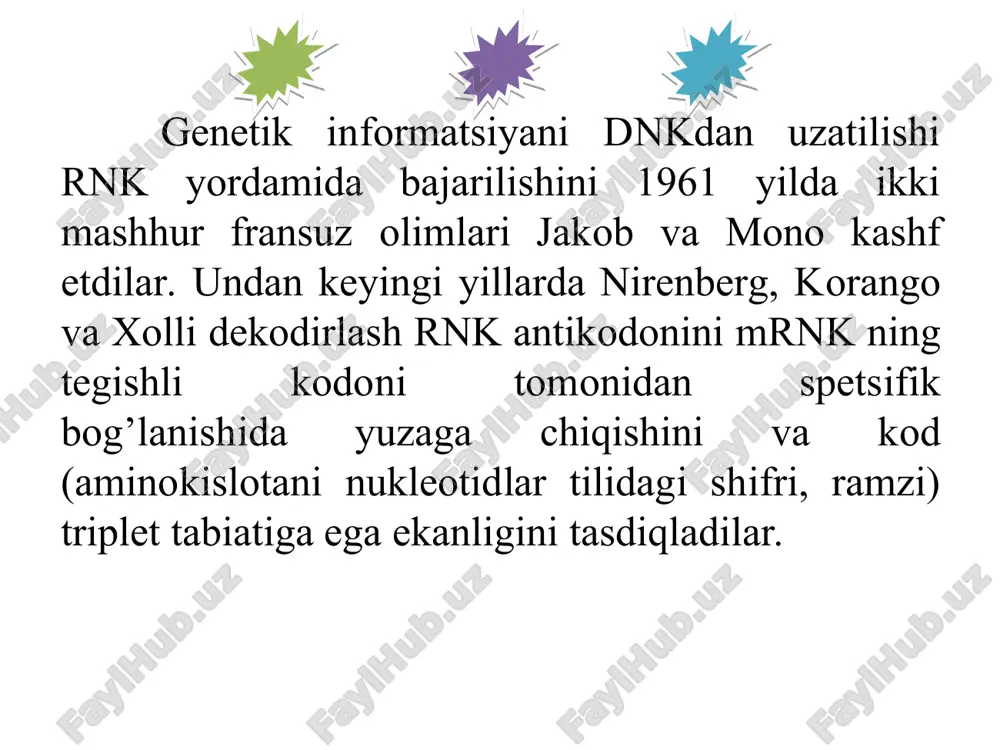 oqsil biosintezi va poliribosomalar - Page 4