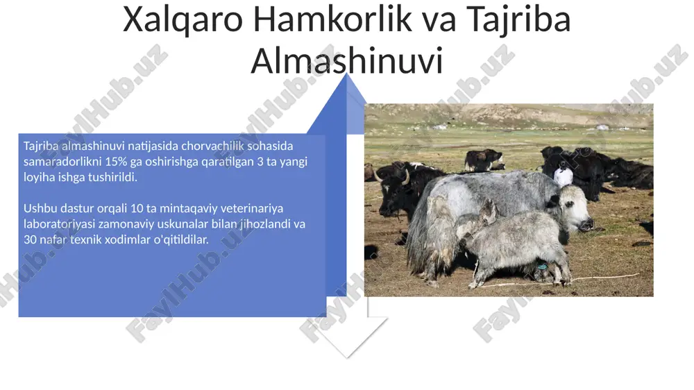 veterinariya va chorvachilik soxasida kadirlash tayyorlash - Page 4
