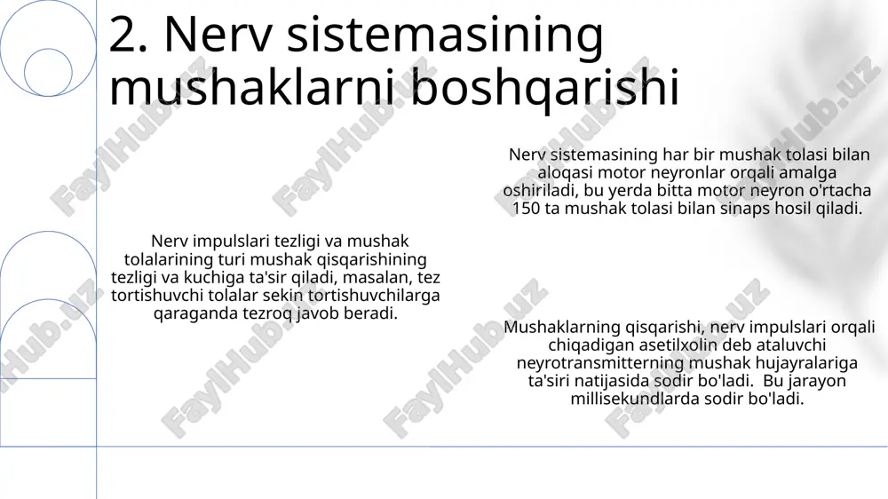 ining lümenini soatlab saqlash imkonini beradi. 10. silliq mushak to'qimasi mushak hujayralari, yoki miofibrillalar, uzun va silindrsimon boʻlib, koʻndalang chiziqli mushaklarda 10-100 mikrometr uzunlikda va 10-100 mikrometr diametrda boʻladi. hujayra membranasi – sarkolemma, mushak hujayrasini oʻrab oladi va mushak hujayralarining qoʻzgʻaluvchanligi va qisqarish jarayonlarida muhim rol oʻynaydi, t-tubulalar orqali ichki muhit bilan bogʻlanadi. miofibrillalar aktin va miozin oqsillaridan tashkil topgan sarkomerlardan iborat boʻlib, har bir sarkomerning uzunligi taxminan 2 mikrometrni tashkil etadi. 11. mushak hujayralarining tuzilishi mushak shikastlanishidan keyingi yallig'lanish reaksiyasi, taxminan 2-3 kun davom etadi va to'g'ri davolanish bilan to'qimalarning samarali tiklanishiga yordam beradi. mushak regeneratsiyasi mioblastlarning ko'payishi va differensiatsiyasi orqali amalga oshiriladi, ammo to'liq funksiyaning tiklanishiga taxminan 4-8 hafta kerak bo'lishi mumkin. mushaklarning yirtilishi odatda 1-3 darajali bo'lib tasniflanadi, 3-darajali yirtiq esa jarrohlik aralashuvini talab qilishi mumkin va tiklanish jarayoni 6 oygacha cho'zilishi mumkin. 12. mushaklarning shikastlanishi va tiklanishi e'tiboringiz uchun rahmat @taqdimot_robot image1.png image2.png image3.png image4.png image5.png …