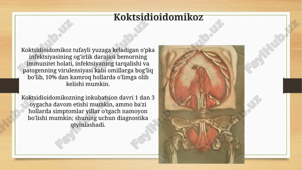 alxonaga yotqizish talab etiladi. zambarli pnevmoniya zambarli pnevmoniya 5 yoshdan kichik bolalarda ko'proq uchraydi va o'pkaning 20% gacha bo'lgan qismini shikastlashi mumkin, bu esa nafas olish qiyinchiliklariga olib keladi. kasallikning og'irligiga qarab, zambarli pnevmoniya antibiotik terapiyasini 7-10 kun davomida talab qilishi mumkin, bu infektsiyaning tarqalishini oldini olish uchun juda muhimdir. gripp gripning klinik ko'rinishlari har xil bo'lishi mumkin, ammo ko'pincha isitma (38°c dan yuqori), yo'tal, burun bitishi va mushak og'rig'i kabi alomatlar bilan namoyon bo'ladi. gripga qarshi samarali kurashish uchun yillik gripga qarshi emlash tavsiya etiladi, ayniqsa immuniteti past bo'lgan 65 yoshdan oshgan shaxslar va surunkali kasalliklari bor bemorlar uchun. gipoplazma gipoplazma, odatda chaqaloqlarda uchraydigan va o'pka to'qimalarining to'liq rivojlanmaganligi bilan tavsiflanadigan o'pka infektsiyasi turi bo'lib, tug'ilishdan keyingi 1-2 hafta ichida namoyon bo'lishi mumkin. gipoplazmaning og'irlik darajasi turlicha bo'lib, yengil holatlarda minimal simptomlar kuzatilsa, og'ir holatlarda esa sun'iy nafas olish moslamalari yordamida davolash talab qilinishi mumkin, bu esa chaqaloqning omon …