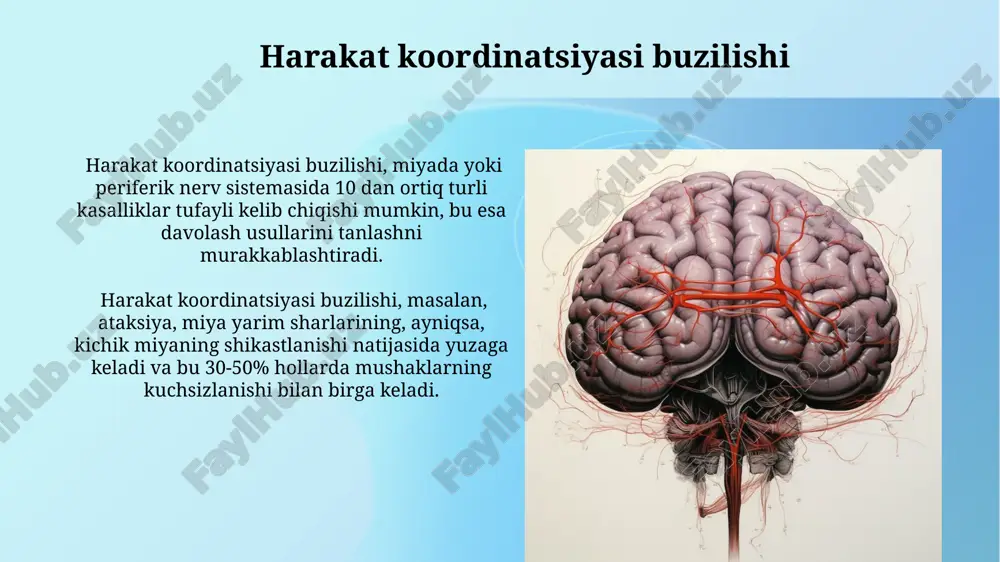 inson koordinatsion tizimi mushak sistemasining kasalliklari - Page 4