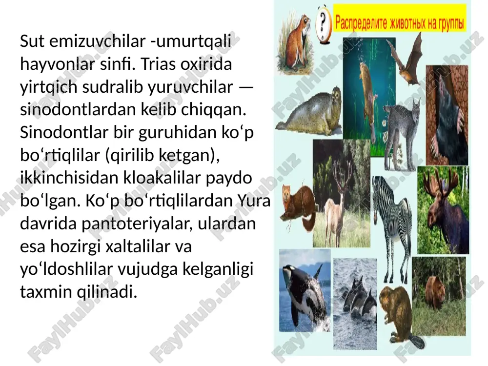 sutemizuvchilarning tabiatda va odam hayotidagi o‘rni - Page 4