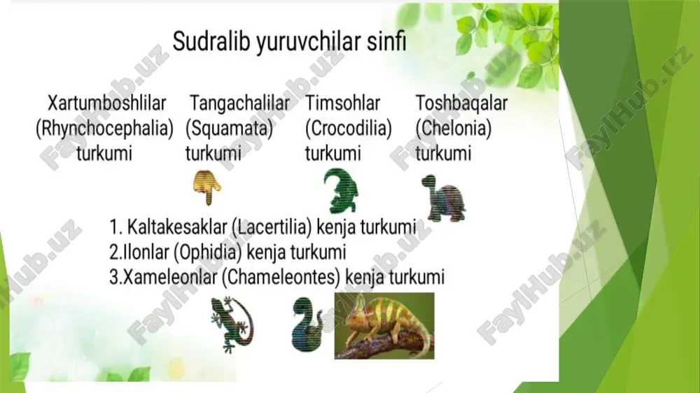 sudralib yuruvchilar va ularning kelib chiqishi - Page 4