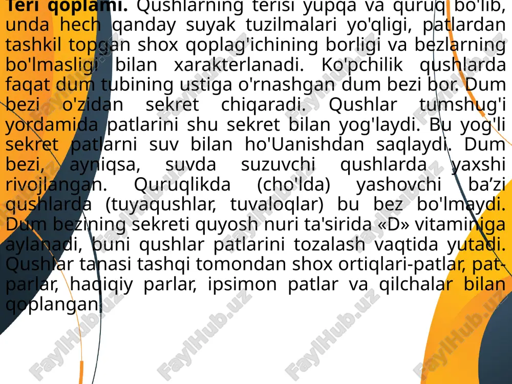 ari, botqoqliklar, daryo va ko`llarning qirg`oqlarida yashaydi. uning tanasi o`tkir cho`qqili, o`ng tomonga qarab 4-5 marta buralgan, katta og`izli chig`anoq ichiga joylashgan. chig`anoqning balandligi 5-10 mm bo`lib, ohakdan tuzilgan, usti yashil-jigarrang muguzsimon modda bilan qoplangan. chig`anoq suv shillig`i tanasini himoya qilib turadi. tanasi bosh, gavda va oyoqlardan iborat bo`lib, oyoqlari tanasining butun qorin yuzasini tashkil etadi (sinfning nomi shundan olingan). ammo bu organlari o`rtasida yaqqol chegara bo`lmaydi. tana yuzasi mantiya teri bilan qoplangan va chig`anoq burmasiga mos spiralsimon buralgan. chig`anoqning og`zi orqali faqat bosh, oyoq va gavdaning oldingi qismi tashqariga chiqishi mumkin. oyog`i yassi bo`lib, tanasining butun qorin tomonini ishg`ol etadi. oyoq muskullarining to`lqinsimon qisqarishi natijasida shilliqqurtlar harakatlanadi. boshining pastki tomonida og`zi, uning ikki yon tomonida ikkita sezgi paypaslagichlari joylashgan. agar bu paypaslagichlarga ta'sir etilsa, u boshini va oyog`ini tezlikda chig`anog`i ichiga tortib oladi. paypaslagichlarining asosida bittadan ko`zi bor. oziqlanishi. suv shillig`i o`simliklar bilan oziqlanadi. og`zi halqumga ochiladi. halqumida muskulli …