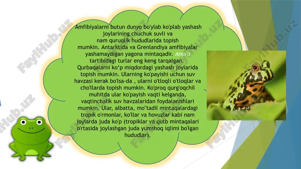 salamandralar va tritonlar ekologiyasi - Page 4
