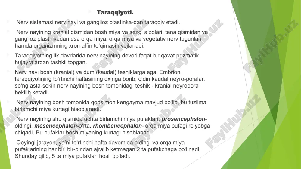 stuncha; 5.3 – ventral ustuncha; 6 – yumshoq miya pardasi nerv huayralaning tuzilishi xillari 1 multipolyar ; 2-bipolyar ; 3-unipolyar 4-psevdounipolyar neyronlar orqa miya kulrang moddasi neyronlari ichida ildizcha hujayralar, ichki hujayralar va tutamli hujayralar farqlanadi. ildizcha hujayralar (neurocytus radiculatus)ga orqa miyaning barcha motoneyronlari kiradi. ularning tanalari oldingi shoxlarda, yon shoxlardagi vegetativ markazlarda (lateral -oraliq yadro va orqa miyaning pastki segmentlarida – medial oraliq yadro da) joylashadi, aksonlari esa oldingi ildizcha tarkibida chiqib, orqa miya nervlarining harakatlantiruvchi qismini tashkil qiladi. ichki hujayralar (neurocytus internus) ning o‘simtalari orqa miyaning bir segmenti sohasida kulrang moddadan tashqariga chiqmaydi va sinapslar hosil qilib tugaydi. ular assotsiativ neyronlar hisoblanadi. orqa miyya kurang moddasi (oldingi shox ). 1 – harakatlantiruvchi multipolyar neyron tanasi 2 – gliositlar ; 3 – neyropil ; 4 –qon tomirlar . tutamli hujayralar (neurocytus funicularis) ning aksonlari tolalarning alohida tutamlari shaklida o‘sha yoki qarama-qarshi tomondagi oq moddaga o‘tib, pastga tushadi yoki yuqoriga …