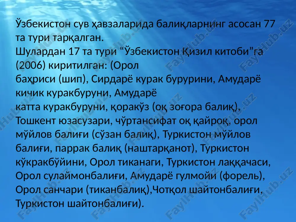 o‘zbekiston suv havzalarida ovlanadigan baliqlar - Page 4