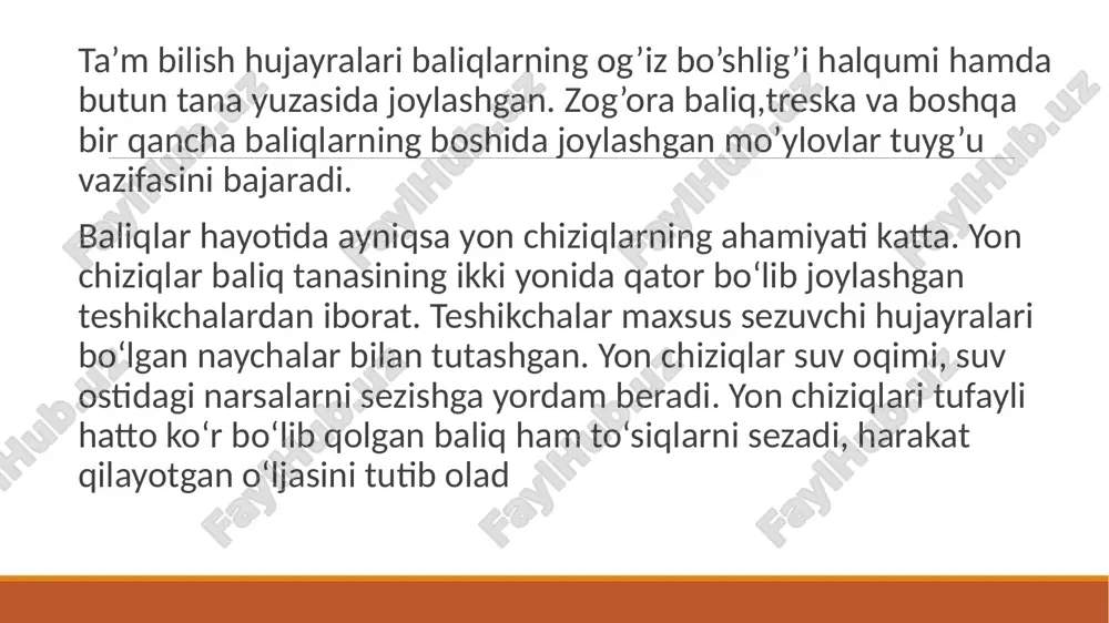 baliqlarning sezgi organlari - Page 4
