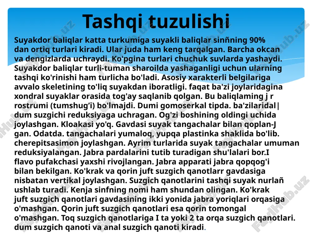tushadi. zog‘ora baliq mayda umurtqasizlar, tuban suv o‘tlari, yashil o‘simliklarning yosh novdalari va barglari bilan oziqlanadi. oziq oshqozon devori bezlari ishlab chiqargan shira ta’sirida hazm bo‘la boshlaydi. chala hazm bo‘lgan oziq ingichka ichakka tushadi. bu yerda oziqqa oshqozonosti bezi shirasi va jigar ajratib chiqaradigan o‘t suyuqligi ta’sir qiladi. hazm bo‘lgan oziq ichak devori orqali qonga so‘riladi. hazm qilish sistemasi qon aylanish sistemasi. zog’ora baliqning yuragi tana bo’shlig’ining dingi qismida qorin tomonida joylashgan. uning faqat uchta bo'limi: venoz sinusi (qo‘ltig“i). yurak bo'lmasi va uning ostida joylashgan muskulli yurak qorinchasi bor .zog'ora baliq va umuman suyakli baliqlar yuragida arterial konus bommasligi bilan tog'ayli baliqlar yuragidan farq qiladi. yurak qorinchasidan yo'g'on qon tomiri - qorin aortasi chiqib, boshlanish joyida aorta so'g'oni deb ataladigan kengayish hosil qiladi. aorta so‘g‘oni klapanlari va ko‘ndalang yo'lli muskullari bo‘lmasligi bilan yurak bo‘limlaridan. xususan arterial konusdan farq qiladi, shuning uchun ham u yurak singari mustaqil urib (ishlab) turmaydi. shunday …
