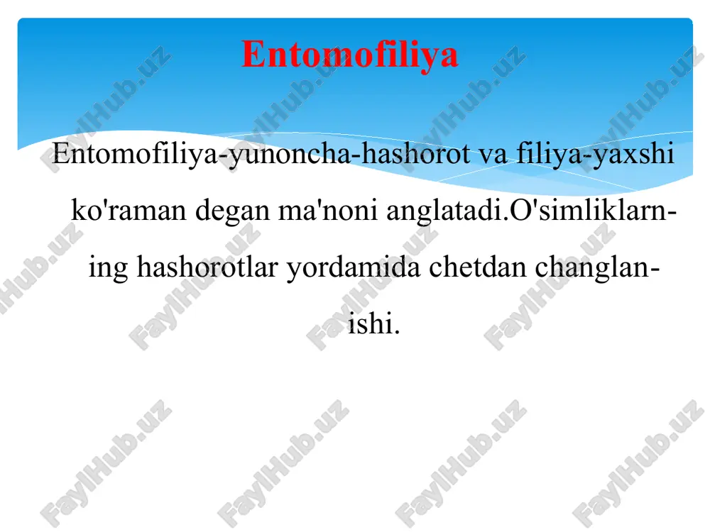 o'simliklarni changlantiruvchi hasharotlar - Page 4