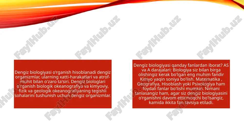 dengizdagi organizmlar jamoalari - Page 4