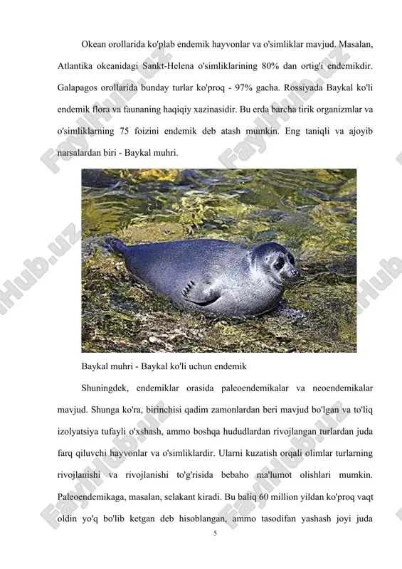 arning vakili o'sha muhit bilan chegaralangan va ularning yo'q bo'lib ketishi maxsus nusxalar yo'qolishini, ularni qaysidir ma'noda chaqirishni bildiradi. ular yashash joyiga qanday moslashishni va ma'lum funktsiyani bajarishni bilishgan, oziq -ovqat zanjirining bir qismi bo'lishdan tashqari, uning yo'qolishi bilan o'zgaradi. bu shuni anglatadiki, masalan, agar sudralib yuruvchi qush uchun "ozuqa" bo'lib xizmat qilsa va ikkinchisi yo'q bo'lib ketsa, ikkinchisining populyatsiyasi kutilmagan tarzda ko'payadi va ekotizimga kerak bo'lgandan ko'p bo'ladi. ba'zi turlarning geologik yoshi katta b o i s a d a u o'zining gullab-yashnash davrini o'tab bo'lgan bo'ladi va ularning areallari aksincha tor bo'ladi. masalan, gatteriyaning areali yangi-zelandiyaning kichik orolchalarida saqlanib qolgan. qadimgi geologik davrlardan bizgacha yetib kelgan hayvon turlari relikt deb yuritiladi. o'rdakburun, rus suv kalamushi (vixuxol) va boshqa shu kabi turlarning areallarini kichik relikt areallarga misol qilish mumkin. areali faqat bir oblast chegarasidagina uchraydigan turlar endemiklar deyiladi. bunday turlarning areallari tog' vodiylari va tog' tizmalarida hamda shunga o'xshash …