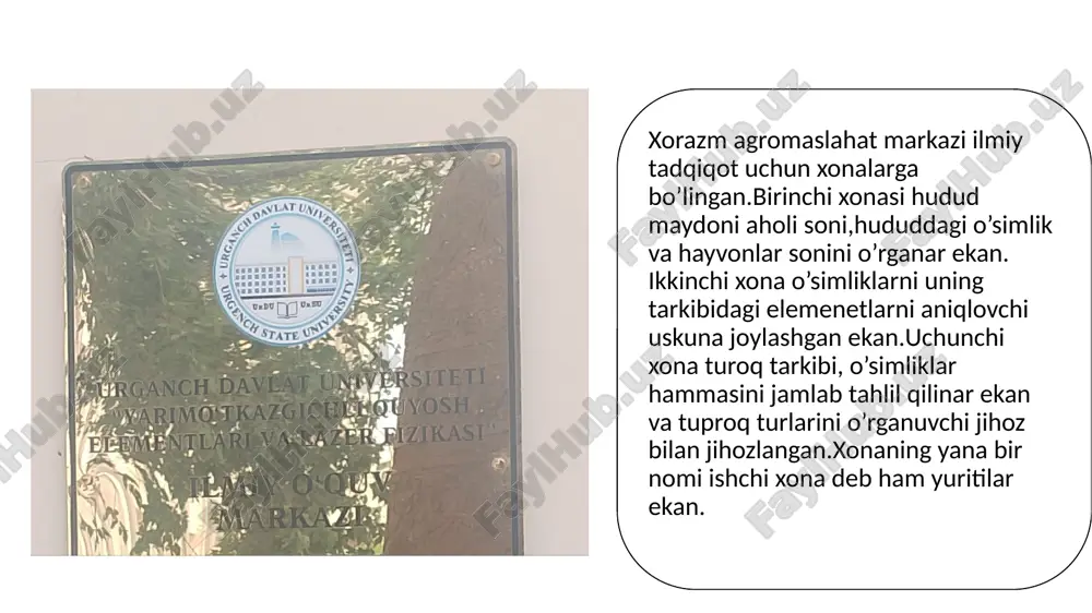 biologiya amaliy mashg'ulot mavzusiga slayd - Page 4