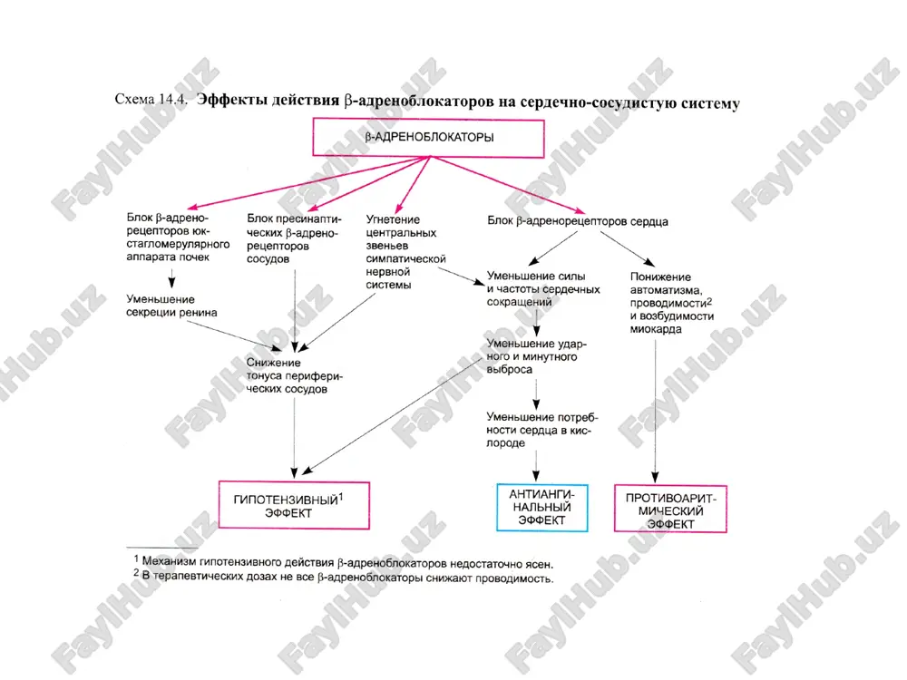 gipotenziv vositalar - Page 4