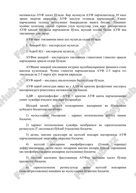 rdagi troponin va tropomiozin bilan aloqaga kirishadi. buning natijasida ularning kaltsiy ionlarini aktin va miozin iplarining qisqarishiga ko'rsatadigan qarshiligi yo'qoladi. buning oqibatida yo'g'on-miozin iplari bo'ylab ingichka aktin iplari sirpanadi. muskullarning bunday qisqarish mohiyati xakslining sirpanish nazariyasiga asoslangan. muskullarning har qanday qisqarishi energiya sarflanishi bilan ro'yobga chiqadi. muskul qisqarishining asosiy energiya manbai auf dir. agar auf bo'lamasa muskul qisqarmaydi, chunki aktin iplar miozin iplari bo'ylab sirpana olmaydi. muskullar qisqarishi uchun zarur energiya auf parchalanganda ajraladi. auf esa miozin adenazin tri (uch) fosfataza (auf-aza) fermenti ishtirokida (ta'sirida) parchalanishi natijasida auf hosil bo'ladi. bir molekula auf parchalanganda 10 kkal erkin energiya ajraladi. auf ma'lum tezlikda parchalanadi. uning parchalanish tezligi muskulning bajaradigan ishiga bog'liq. tananing muayyan holatini saqlab turishi uchun muskullar uzoq vaqt qisqarganida auf qanday tezlikda parchalangan bo'lsa, shunday tezlik bilan auf yana tiklanishi ham zarur. auf ning tiklanishi ikki hil muhitda sodir bo'ladi. 1. anaerob yo'l - kislorodsiz muhitda. 2. aerob yo'l …