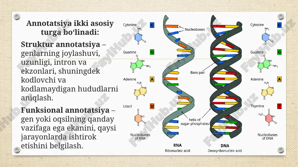 struktur va funksional genom annotatsiyalari - Page 4