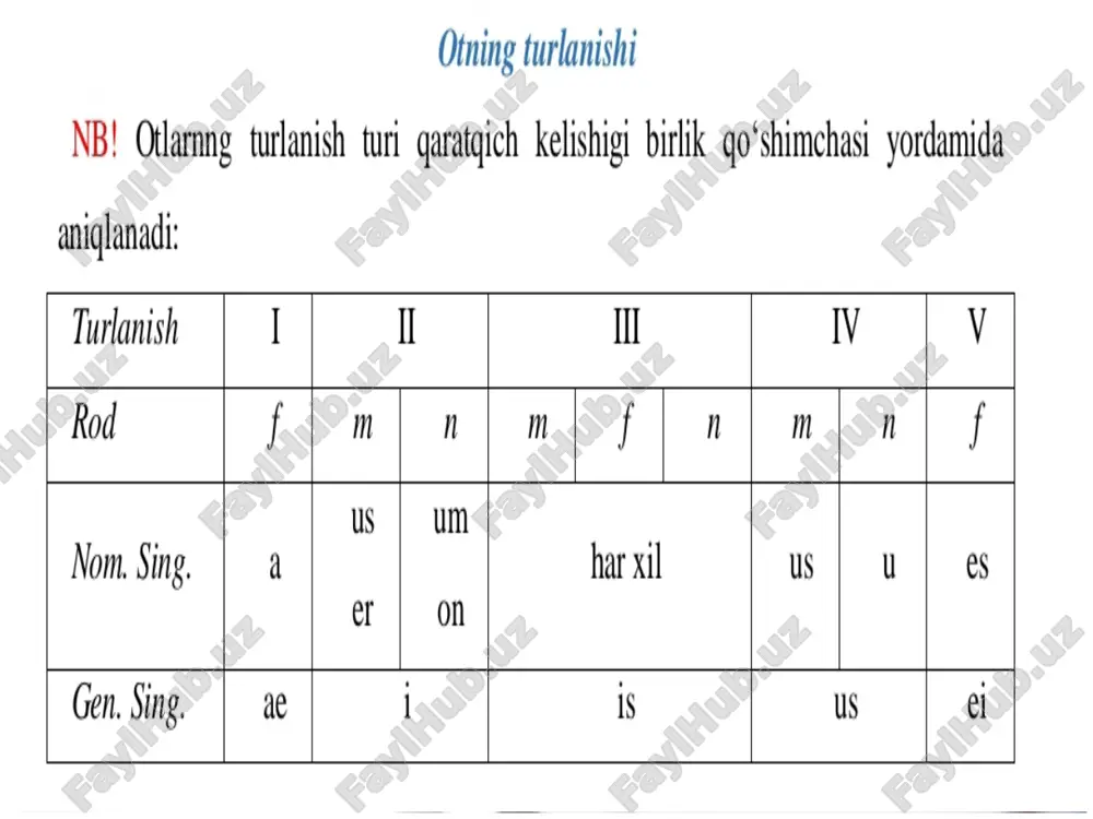 lotin tilidan ot grammatik kategoriyalar pptx - Page 4
