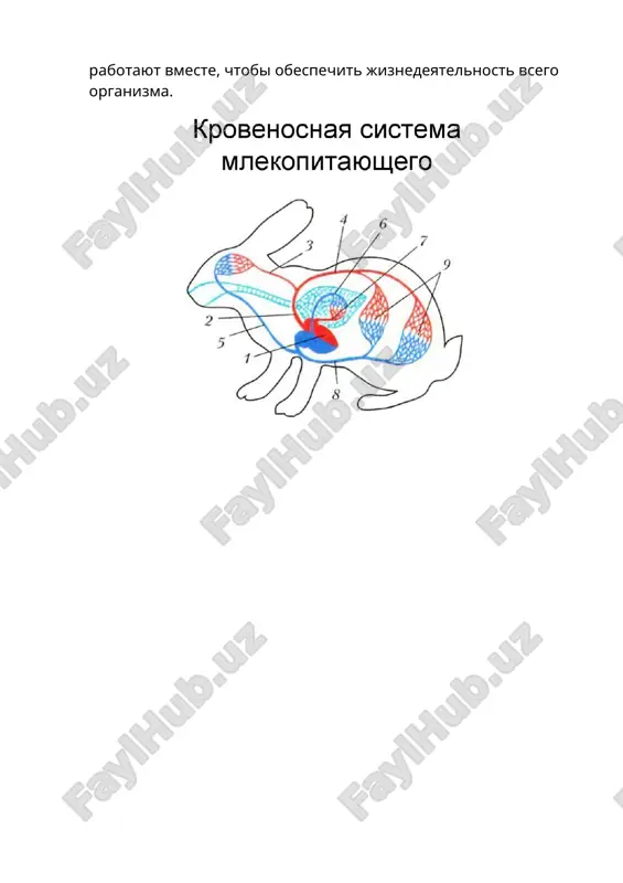 organizm - edinoe tseloe - Page 4