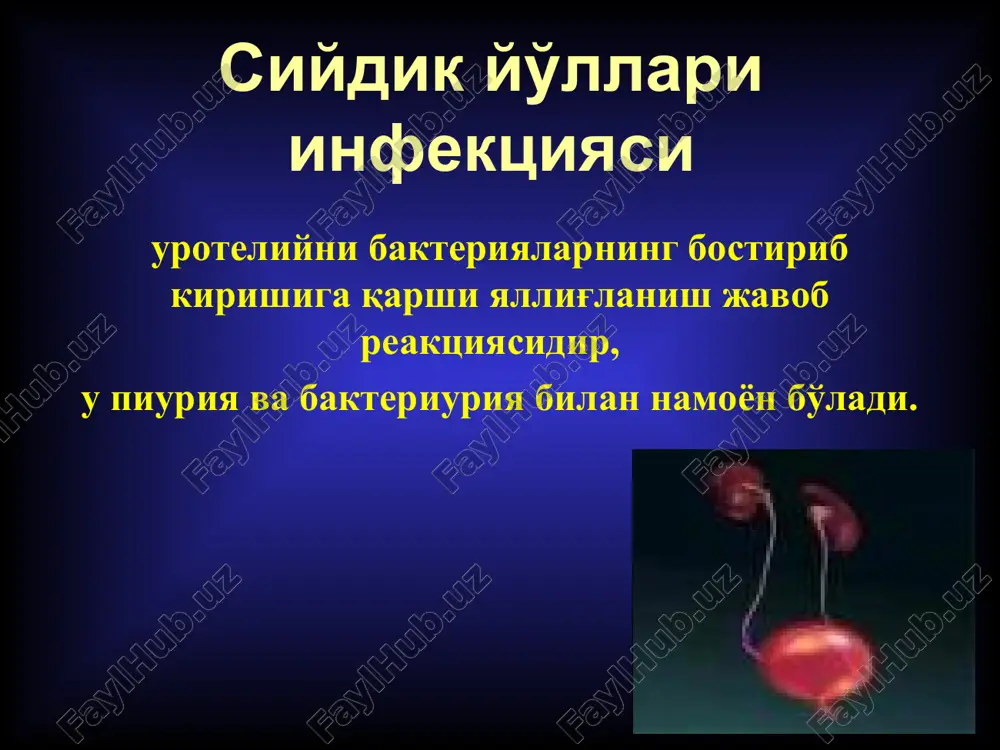 klassifikatsiyasi - pielonefrit - ureterit - tsistit - uretrit - prostatit - vezikulit - funikulit - epididimit - orxit 20 siydik yullari infektsiyasi (klinik kechishi buyicha) asoratlanmagan syi: bu termin bemorda struktur va funktsional jixatdan siydik yullari normal bulgan xollarda kuzatiladigan siydik yullari infektsiyasini ta'riflashda kullaniladi. asoratlangan syi: bu termin bemorda infektsiyaning asoratlarini rivojlanishiga yoki davolashning samarasiz kechishiga olib kelishi mumkin bulgan siydik yullarida struktur va funktsional anomaliyalar bulgan xollarda kuzatiladigan siydik yullari infektsiyasini ta'riflashda kullaniladi asoratlangan syi paydo bulishiga sabab omillar: keksa yosh. gospital infektsiya. siydik yullariga kuyilgan drenajlar. kandli diabet. immunodefitsit xolatlar. siydik yullarida anatomik yoki funktsional patologiyalar mavjudligi. xomiladorlik. 22 infektsiyaning asoratlarini rivojlanishiga olib kelishi yoki davolash samaradorligini susaytirishi mumkin bulgan omillar: doimiy kateterlar, stentlar yoki splintlarning (uretral, ureteral, nefrostomik) mavjudligi, kovukni davriy kateterlash. postmiktsion koldik siydik > 100 ml. turli sababli obstruktiv uropatiya (masalan, infravezikal obstruktsiya, neyrogen kovuk), siydik yullaridagi toshlar, xosilalar va boshkalar. 23 infektsiyaning …