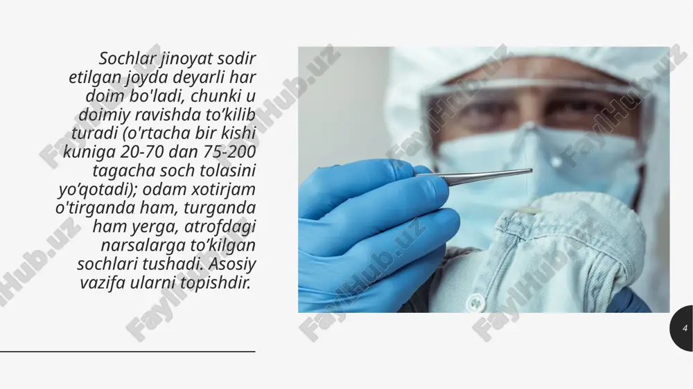 ik ta’sir soch keskin harakat bilan uzilganda yuzasi tekis bo’lsa,sekinroq harakat bilan uzilganda zinasimon yuza qoladi. yaqin distansiyadan o‘qotilganda kirish teshigi atrofidagi sochlarda mexanik va termik ta’sir alomatlari bilan birqatorda,qurum,mayda porox zarrachalari aniqlanishi mumkin. soch sterjenining ezilishi,supurgisimon tolalanishi o‘tmas jismlrning ta’siri uchun xosdir. mexanik+termik 21 yuqori harorat ta’sirida sochning sterjeni buraladi,mallarang tusga kiradi va mikroskopik tekshiuvda sochda turli o’lchamlardagi havo bilan to’lgan bo‘shliqlar paydo bo’ladi.harorat 200 gradusdan oshganda soch ko‘mirlanadi. termikta’sir tabiiy ko‘rinishdagi sochda kutikula rangsiz yoki biroz kulrang tusda bo’lib,sochning pigmenti po‘stloq qismda joylashsa,bo‘yalgansochda bo‘yoq sterjenning kutikulasida aniqlanadi,sochning ildiz qismida bo‘yoq bo’lmaydi. kimyoviyta’sir 22 o’tkir, o’tmas buyum, o’q otar qurollar bilan yetkazilgan jarohatlar natijasida sochda yuzaga keladigan o’zgarishlar. 23 sochning jarohat yetkazilgan joyida supurgisimon tarzda tolachalarga ajralishi. sochning yuqori darajali jarohat taʼsiridan o’zgarishi. sochning muayyan shaxsga mansubligini aniqlash. sochlaming muayyan shaxsga tegishli ekanligi guruhiy mansublikni aniqlash hamda sochni kontrol namunalar bilan taqqoslash orqali hal etiladi. ta’kidlash lozimki, ushbu tekshimvlar …