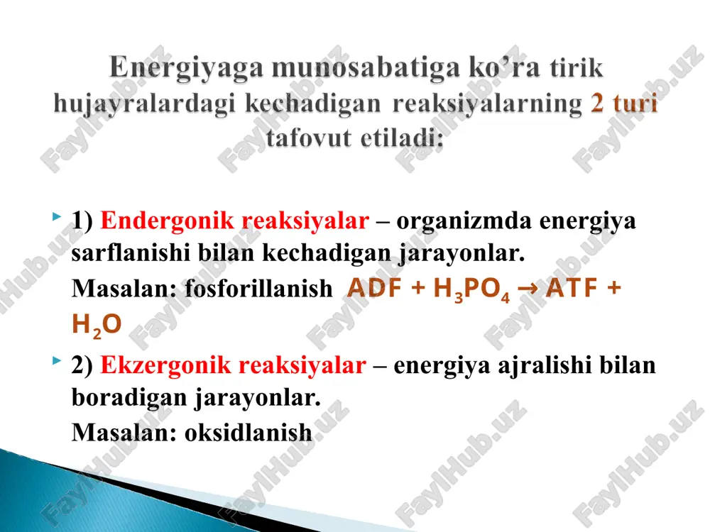 prostetik guruh sifatida fad yoki fmn saqlaydi. 3) ubixinon – koenzim q 4) sitoxromlar.- gemli fermentlar. elektron tashiydi. nimotinamidadenindinukleotid prostetik gruppa sifatida fad yoki fmn tutadi. ularning asosiy tarkibiy qismi bo’lib vitamin b2 – riboflavin hisoblanadi. piridinga bog’liq bo’lgan degidrogenazalardan farqli o’laroq, flavinga bog’liq bo’lgan degidrogenazalar bir va undan ko’p fad va fmn tutadilar, oqsil qismi bilan kuchli bog’langandir va murakkab oqsil – flavoproteidni hosil qiladi. flavinga bog’liq bo’lgan degidrogenazalar vodorod atomlarini izoalloksazan xalqasining birinchi va beshinchi azot atomlariga biriktiradi. flavinadenindinukleotid flavinmonoadeninkislota n conh2 + r + h–substrat–h qaytarilgan shakli conh2 n r h h + h+ + substrat oksidlangan shakli n n n n n n n n r r h h h h ch3 ch3 ch3 ch3 o o o o nad+ nadh fad fadh2 +2h+ - 2h+ mitoxondriyalarning lipid qismidan ajratib olingan bo’lib xinon xalqasi va uzun izoprenoid zanjiridan iborat. fad+ va fmn+dan proton va elektronlar oldin …