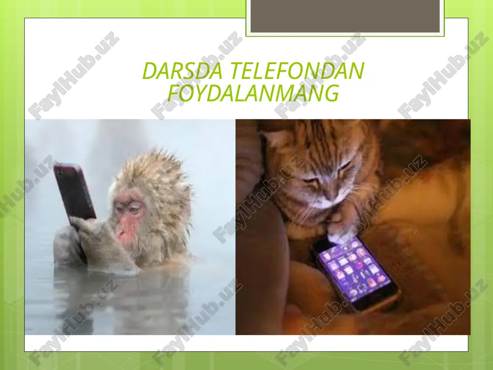 lishi kanallar, ko‘llar, suv havzalarining tozaligiga alohida e’tibor berilgan. atrof-muhit tozaligi va jamoat joylari pokizaligini maxsus kishilar nazorat qilgan. 🐻 ayiq 1 -polar ayig'i - sizda hozirda yashirin kuch bor. siz o'z qobiliyatingizni yashirolmaysiz. atrofingizdagilar esa sizning qobiliyatingizdan xabardor. biroq, shunga qaramay, siz yoqimli va yoqimli odam sifatida qabul qilinasiz. 🐻 ayiq 2 - qora ayiq - siz jamiyat nazarida tajovuzkor kuch egasisiz. siz mojarolar tarafdori emasligingizga qaramay, iloji bo'lsa, ochiq qarama-qarshiliklardan qoching. atrofingizdagi odamlar sizning noroziligingizni keltirib chiqarishdan qo'rqishadi. 🐻 ayiq 3 - jigarrang ayiq - siz kuch egasisiz. sizda jamiyatga ta'sir qiladigan kuch bor. realistlar va fikrlaydigan odamlar bahsli masalalarda siz bilan yuzlashishdan qo'rqishadi. 🐻 ayiq 4 - panda - siz yashirin kuchning egasisiz. ko'p odamlar sizni zararsiz, yumshoq odam deb bilishadi. biroq, siz o'zingizning manfaatlaringizni qat'iy talab qilish uchun hamma narsaga egasiz. atrofingizdagi odamlarga zimdan ta'sir ko'rsatasiz atrof-muhit tozaligi va jamoat joylari pokizaligini maxsus kishilar nazorat qilib …