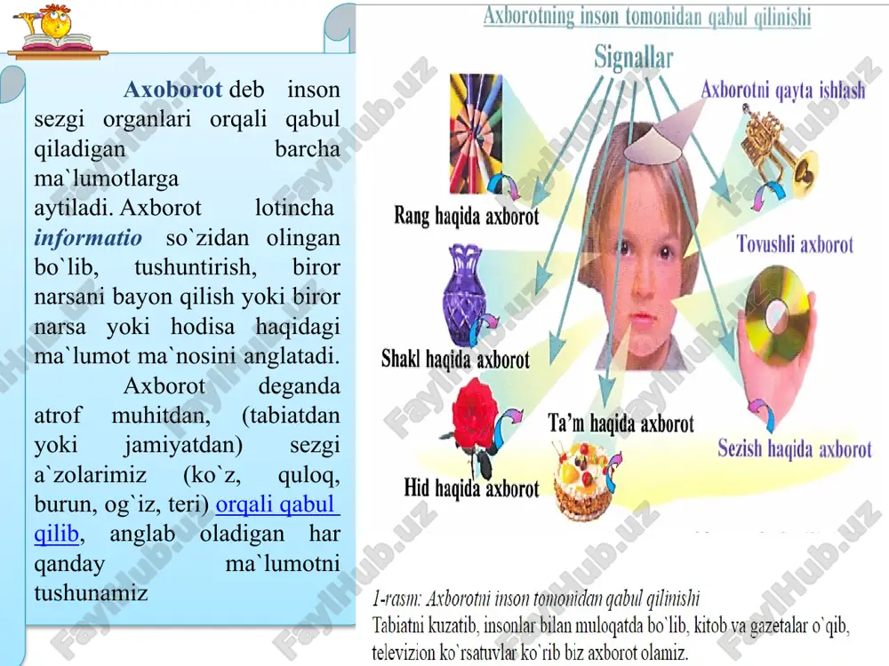 komp’yuterning arxitekturasi apparat ta’minoti - kompyuterni tashkil qiluvchi texnik qurilmalardan iborat bo’ladi. u fizik berilganlar bilan: registrasiya qilish, saqlash, trasportirovka qilish, o’zgartirish, va ularni inson tushunadigan ko’rinishda taqdim qilish vazifalarini bajaradi. dasturiy ta’minot. dasturlar ikki: aktiv va passiv holatda bo’lishi mumkin. passiv holatda dasturlar ishlamaydi va xotirada berilganlar kabi saqlanadi. bunday holatda ularni “kitob” kabi o’qish va mazmunini o’zgartirish mumkin. passiv holatda dasturlar tuziladi, tahrirlanadi va uzatiladi. shaxsiy komp’yuterning arxitekturasi kompyuterning tuzilishi. istalgan kompyuter: kiritish, qayta ishlash, saqlash va chiqarish qurilmalaridan iborat bo’ladi. bu qurilmalar yagona korpusda joylashtirilgan bo’lsa portativ kompyuterlar deb ataladi. kompyuterning bazaviy konfigurasiyasi. tizimli blok, monitor, klaviatura, sichqonchadan iborat bo’ladi, unga qo’shimcha tovush kalonkalari, printer, skaner kabi qurilmalar ulanishi mumkin. shaxsiy komp’yuterning arxitekturasi tizimli blok – kompyuter tizimini asosiy bloki hisoblanadi. unda joylashgan qurilmalar ichki, tizimli blokka ulanadigan qurilmalar tashqi qurilmalar deyiladi. shaxsiy komp’yuterning arxitekturasi monitor – belgili va grafikli axborotlarni vizual namoyish qilish qurilmasi. axborotlarni chiqarish …