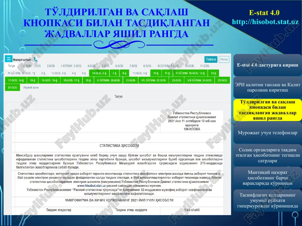 e-stat 4.0 - Page 4