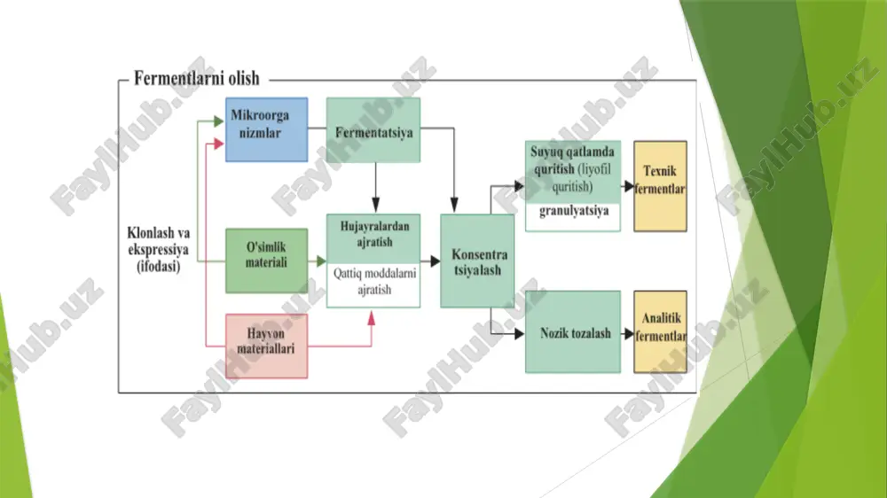 sa uchta izoferment mavjud. ldh1 va cpk2 mi tashxisida juda muhimdir. № ldh uchun tahlil biokimyoviy qon testiga kiritilgan. normlar: cpk uchun tahlil biokimyoviy qon testiga kiritilgan. normlar: 1 yangi tug'ilgan chaqaloqlar - 2000 ed/l gacha 0 dan 6 oygacha bo'lgan chaqaloqlarda <295 ed/l 2 2 yoshgacha bo'lgan bolalar - 430 ed/l 18 yoshdan 90 yoshgacha bo'lgan erkaklar ko'rsatkichlari <171 ed/l 3 2 yoshdan 12 yoshgacha bo'lgan bolalar - 295 ed/l 18 yoshdan 90 yoshgacha bo'lgan ayollar ko'rsatkichlari <145 ed/l 4 12 yoshdan oshgan bolalar va kattalar - 250 ed/l homiladorlik 1 dan 36 haftagacha <145 ed/l image1.png image2.png /docprops/thumbnail.jpeg