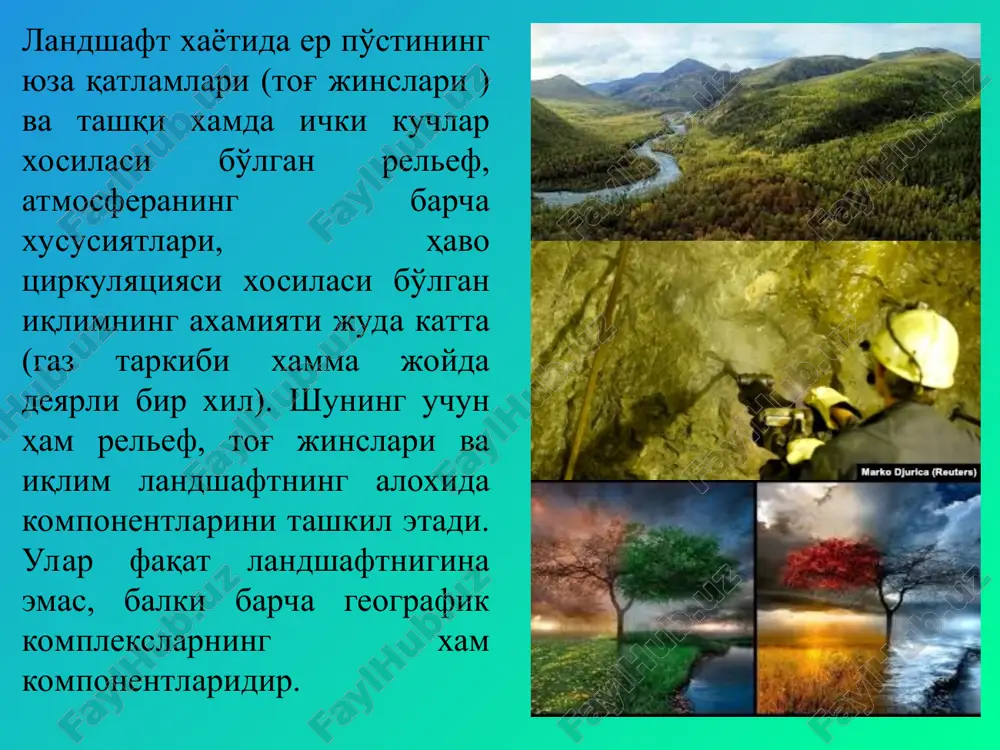 t dunyosi o'simliklarga nisbatan juda ko'chuvchan bo'lganligidan bevosita landshaft uchun xos bo'lgan xayvonlar areallarini ko'rsatish qiyin, lekin bir landshaftning ekologik sharoitiga ko'ra xayvonlar turlarining individualligi farq qiladi. har bir landshaft uchun xududda faqat shu landshaftga xos bo'lgan qonuniy ravishda takrorlanuvchi tuproq tiplari, turlari, xillari mavjud. landshaftning energetika omili quyoshdan keladigan nur energiyasi va erning tektonik xarakatlari vositasida namoyon bo'ladigan ichki energiyasidir. landshaftdagi barcha biologik, biofizik jarayonlarning borishi quyosh energiyasiga bog'liq. erning ichki energiyasi tabiiy geografik jarayonlarning, gravitatsiya sharoitining tarkib topishida katta rol o'ynaydi, ya'ni yuzasidagi tog' jinslarining emirilishi, siljishi, qayta yotqizilishining jadalligi relefga va tog' jinslariga boqliq, relef esa o'z navbatida er ichki energiyasining hosilasidir.
