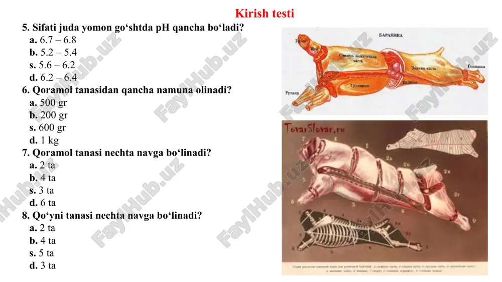 m hayvon go‘shtida perioksidaza fermenti faol holatda (ferment ko‘p bo‘ladi), kasal yoki o‘lim oldi holatda so‘yilgan hayvonlardan olingan go‘sht namunasida esa perioksidaza fermentining faoligi (ferment kam) past bo‘ladi. ishni bajarish tartibi olib kelingan go‘sht namunalaridan 1:4 nisbatda, go‘sht ekstrakti tayyorlanadi. filtrlangan ekstraktdan 2 ml olinib, ustiga 5 tomchi 0,2% li benzidinni spirtli eritmasi solinadi va yaxshilab aralashtiriladi. keyin aralashmaga 2 tomchi 1% li vodorod perioksidi eritmasi solinadi. sog‘lom hayvon go‘shtidan tayyorlangan ekstrakda, reaksiya natijasida ko‘k yashil rang hosil bo‘lib, bir necha minutdan o‘tgandan so‘ng qoramtir malla ranga kiradi va o‘zgaradi (reaksiya musbat). agar ekstrakt kasal, o‘lim oldi talvasasi holatida so‘yilgan hayvon go‘shtidan yoki eski go‘shtdan tayyorlangan bo‘lsa, reaksiya natijasida probirkadagi aralashmani rangi ko‘k yashil tusga kirmasdan, birdaniga qoramtir malla rang hosil qiladi (reaksiya manfiy). bakterioskopiya tekshirish go‘sht namunasidan buyum shishachasida ikki dona surtma tayyorlanadi: biri go‘shtning yuza qismidan, ikkinchisi go‘shtning chuqur qismidan olinadi. buni tayyorlash uchun kichik go‘sht bo‘lagi kesib …