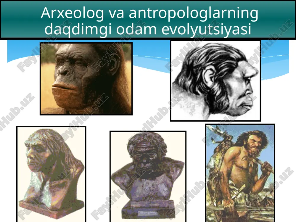 idan olib borilgan). topilmalar: qadimgi odamning suyak qoldiqlari, tosh qurollar va hayvonlar suyaklari. odamning jismoniy ko‘rinishi: arxontrop (pitekantrop va sinantrop). ilk paleolit davri tosh qurollari. qadimgi odamlarning mehnat qurollari o’rta paleolit(muste) m.v.100 – 40 ming yillar olov olishni o’rgandi keng tarkalgan mehnat qurollari – uchli nayza va yo‘nuvchi. ma’naviy hayotdagi o’zgarishlar odamning jismoniy ko‘rinishi – neandertal. ilk diniy qarashlar qoyatosh tasvirlari odamning asosiy mashg’ulotlari muste davrida odam yirik hayvonlarni ovlash va yovvoyi mevalarni terish suyak, daraht, toshdan mehnat qurollari yasashni boshladi g’or va chaylalarda yashash joyi sifatida foydalana boshladi hayvon terisidan libos tayyorlay boshladi o‘rta paleolit davri tosh qurollari muste davri odamlarining manzilgohlari o‘zbekiston hududidagi ilk muste davri manzolg‘ohi – teshiktosh g‘îori (boysun tog‘larida a.okladnikov tomonidan 1938 y. ochilgan olamshumul qashfiyot. 50dan ortiq manzillar ma'lum ular ichida: obiraxmat, xodjikent (toshkent vil.), amonko‘tan g‘ori (samarkand yakinida), uchtut (navoiy vil.). arxeologik topilmalar: turli xil tosh mehnat qurollari, yirik hayvonlarning shohlari va suyaklari, …