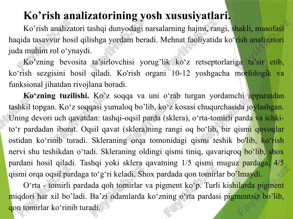 i qismida silliq muskul tolalardan iborat kipriksimon muskullar bo’ladi. kipriksimon muskullar kipriksimon boylamlar yordamida gavhaming pay va xaltachasiga birikadi. ko‘z soqqasining ichki pardasi, ya’ni to‘r parda murakkab tuzilgan bo’lib, rivojlanishiga ko‘ra ko‘rish nervi bilan bir butun hisoblanadi. to‘r parda ko‘zning butun bo'shlig’ini qoplab turadi. turli ta’sirni qabul qiluvchi 130 mln. ta tayoqcha va 7 millionta kolbacha shaklidagi hujayralar to‘r pardaning retseptoriari hisoblanadi. ko’z soqqasining yadrosi suyuq, gavhar va shishasimon tanadan iborat. rangdor pardaning orqasida yasmiq shaklidagi, juda tiniq, ikki tomoni qavariq linza - gavhar joylashgan. gavharning orqa tomoni oldingi tomonga qaraganda qavariqroq bo’ladi. gavhar yarim suyuq bo’lib, yupqa tiniq kapsula ichida joylashgan. gavharda qon tomirlari bo’lmaydi. uni ko‘z kameralarini to’ldirib turadigan maxsus suyuqlik oziqlantiradi. shox parda bilan rangdor pardaning o'rtasida kichkina bo‘shliq bo’lib, u ko‘zning oldingi kamerasi deyiladi. rangdor parda bilan gavhar o‘rtasida ham bo‘shliq bo’lib, u ko‘zning orqadagi kamerasi deyiladi. har bir ko’rish nervida 1 mln. ga yaqin nerv …